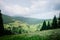 Charming sunny panorama of the daisy meadow and coutryside at the background of the mountains covered with thick green