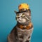 Charming Top Hat Cat: Captivating Blue-Cyan Backdrop - Generative AI