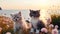 charming two cats sit on field beach at sea , puppy sit play on sunset in sea water on beach wild fieldandspaniel