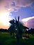 Charming view of clouds and tree