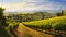 Charming vineyard. Rural pastoral landscape. Generative AI