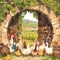 Charming Vineyard Tour with Goose Guide