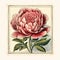 Charming Vintage Peony Illustration With Realistic Woodcut-inspired Style