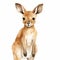 Charming Watercolor Kangaroo Illustration - Cute And Dreamy Artwork