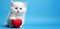 A charming white kitten holds a red heart in its paws on a blue background