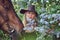 A charming woman riding a brown horse.