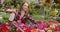 Charming woman spraying flowers in garden