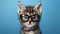 Charming young cat with stylish eyeglasses posing in front of a professional studio setting