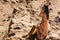 Charming young girl in pinks dress in desert