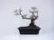 Charmingly beautiful mini bonsai tree ornamental plants