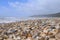 Charmouth Beach on a Windy Summers Day