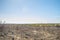 Charred farmland from a recent burning in a rural Georgia area