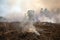 Charred landscape from a prescribed fire