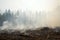 Charred landscape and smoke from a prescribed fire