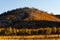 Charred remnants of trees on hillside in Flagstaff, Arizona.