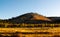 Charred remnants of trees on hillside and meadow in Flagstaff, Arizona.