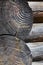 Charred vintage wood burnt log stump cut. Selective focus burnt resinous wood glowing texture of rough surface felled