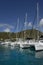 Charter catamarans at Soper`s Hole Wharf & Marina, West End, Tortola, BVI