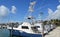 Charter Sport Fishing Boats with Tuna Towers