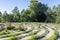 Chartres styled labyrinth at beautiful Hogsback at The Edge