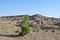 Charyn Canyon in Kazakhstan. Valley of castles in Kazakhstan. An analogue of the American Grand Canyon. Colorful stone mountains