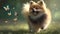 Chasing Butterflies: Adorable Pomeranian Dog on a Green Meadow