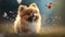 Chasing Butterflies: Adorable Pomeranian Dog on a Green Meadow