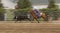 Chasing Down the Cow Panning and Motion Blur