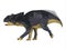 Chasmosaurus Juvenile Dinosaur