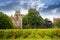 Chateau Corton Charlemagne with vineyards, Burgundy, France