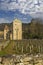 Chateau de Gevrey-Chambertin (castle), Burgundy, France