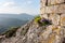 Chateau Peyrepertuse Languedoc France