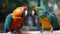 Chatty parrots squawking and chatting with each other created with Generative AI