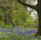 Chawton House Library,Hampshire