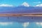 The Chaxa Lagoon with Andean flamingos, flamingo heaven located in the center of the Salar de Atacama, Chile