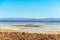 The Chaxa Lagoon with Andean flamingos, flamingo heaven located in the center of the Salar de Atacama, Chile