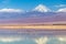 The Chaxa Lagoon with Andean flamingos, flamingo heaven located in the center of the Salar de Atacama, Chile