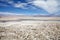 Chaxa Lagoon in the Salar de Atacama, Chile