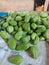 Chayote does have properties that are good for the body, such as maintaining heart health, liver function, and digestion.