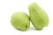 Chayote fruits `Sechium edulis`