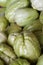 Chayote Squash