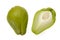 Chayote Squash And A Half