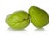 Chayote Squash (Sechium edule)