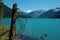 Cheakamus lake