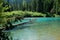 Cheakamus lake