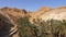 Chebika oasis in mountain canyon with palm trees, tilt view