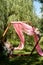 Check-in in the forest by the lake.A diamond-shaped arch of wood decorated with pampas, pink chiffon. Wedding floristry.