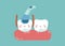 Check up decayed tooth ,teeth and tooth concept of dental