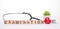 Check up your health concept. Horizontal panoramic close up banner placard view photo picture of nurse instrument succulent bright