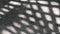 Checked pattern shadow of Chinese fan palm leaves swaying on weathered gravel concrete floor
